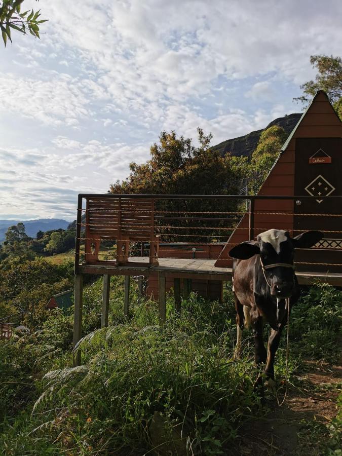 Mamaterra Glamping *